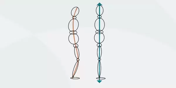 What is Rolfing | European Rolfing Association e.V.